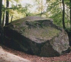 Diabelski kamień  w Odargowie