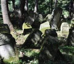 Cmentarz żydowski w Lesku 