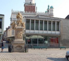 Wielkopolskie Muzeum Wojskowe